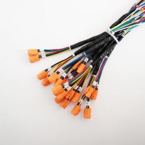 شاحن بطارية سيارة مخصص مع كابل تجميع للمركبات - Product Image 1