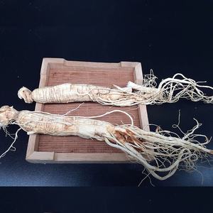 長白人参広告プロセスで乾燥 - Product Image 4