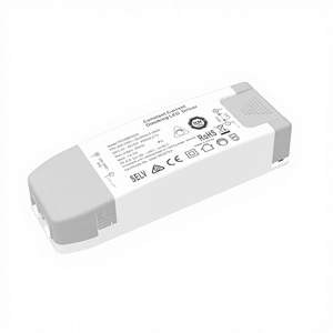 Driver LED à sortie unique dimmable Triac/Dali ADIMMING PE296B 200-250V AC 12-18W pour éclairage public - Product Image 3