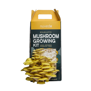 Kit de herramientas de jardín portátil para exteriores de Tres <span class=keywords><strong>Mosqueteros</strong></span> con rodillero de setas de ostra, regalo de inicio para cultivar setas - Product Image 6