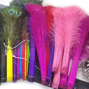Fournisseur d'or Fucun vente en gros de Costumes de carnaval, fabrication bon marché de plumes de queue de paon naturelles de 100-110cm de Long