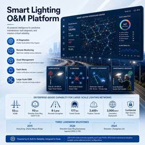 Iluminación LED Inteligente para Carreteras de 100 km, Clase Km, Construcción en Aluminio IP66, Escala de 10,000 Luces, Gestión de Evidencia GIS en Tiempo Real - Product Image 1