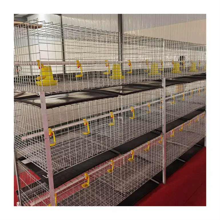 poultry farm house automatic galvanized battery broiler breeding chicken cage