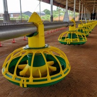 Système d'alimentation et d'abreuvement automatique pour poulets de chair en élevage au sol et reproducteurs de volailles