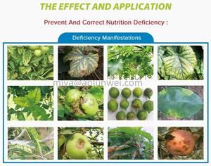 Aminoácido Quelato Hierro/<span class=keywords><strong>Cobre</strong></span>/Manganeso/Zinc/Boro/Molibdeno Compuesto Fertilizante <span class=keywords><strong>foliar</strong></span> (Fertilizante en polvo de flujo) - Product Image 6