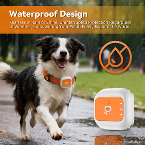 Mini traceur <span class=keywords><strong>GPS</strong></span> 4G pour animaux de compagnie en nylon IP67 avec suivi iOS/Android, gestion de la santé et positionnement anti-perte - Product Image 6
