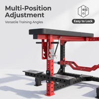 Machine à triceps multifonctionnelle robuste avec structure en acier épaissi, réglable pour l'entraînement de la force dorsale en salle de sport