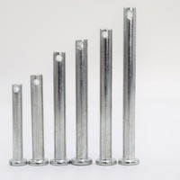 Pin Clevis Alloy M6 Lepas Cepat dengan Lubang DIN 1444 B ISO2341 DINGSHUO Finishing Perak