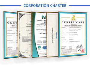 1-20 TPD Speiseöl-Raffinerieanlage für Soja-, Kokos-, Sesam-, Avocado-, Sonnenblumen-, Palm- und Erdnussöl - Product Image 2