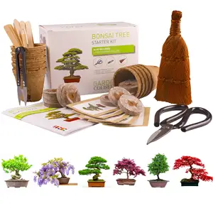 Superior Quality Premium Customized Bonsai Tree KIT Superior Gardening Tools Big Value Pack for Home Use Perfect Theatre Floor