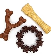 Petit/régulier (1 chef)