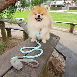 Porte-sac à déjections canines et distributeur de sacs à crottes en nylon fait main personnalisé avec rivets, cadeaux pour garçons et filles - Product Image 6