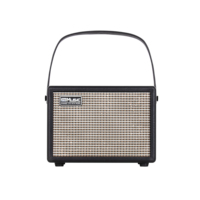 Coolmusic Unique-15G 15W Musical Instruments Electric Guitar Amplifier