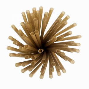 6mm 8mm 12mm Sugarcane Straws Biodegradable Plastic Free Eco-Friendly Compostable Drinking Smoothie Sugar Cane Bagasse Straw