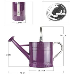 <span class=keywords><strong>Arrosoir</strong></span> de jardin vintage en acier allié de zinc durable de 1 gallon, couleur violette, pour plantes d'extérieur et d'intérieur - Product Image 2
