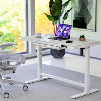 Bureau debout en verre pour ordinateur de bureau à domicile, table réglable en hauteur, table élévatrice électrique avec tiroir