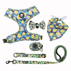 ชุดสายรัดสุนัขแบบปรับได้,สำหรับจูงน้องหมาแบบนิ่มปรับได้ออกแบบโลโก้ได้ - Product Image 4