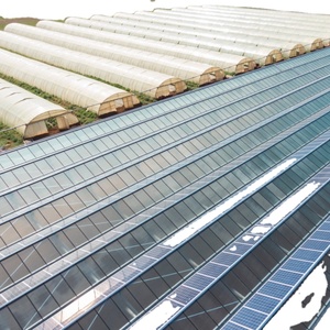 Sistema de refrigeração com aquecimento solar, ventilação no interior da <span class=keywords><strong>greenhouse</strong></span> solar