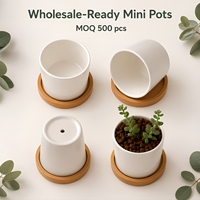 Mini-pots d'intérieur en grès au design le plus récent pour plantes