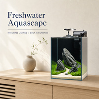 Petit aquarium de bureau avec filtre amélioré, éclairage aquatique 3W et couvercle de protection, vente en gros OEM ODM