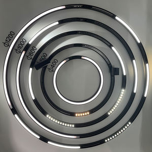 Lumière LED magnétique <span class=keywords><strong>de</strong></span> surface <span class=keywords><strong>de</strong></span> plafond linéaire en forme d'arc <span class=keywords><strong>de</strong></span> 16mm avec <span class=keywords><strong>rail</strong></span> <span class=keywords><strong>de</strong></span> voie magnétique - Product Image 2