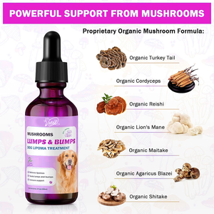 Supplément de soutien immunitaire pour bosses de chien Reishi à queue de dinde Champignons à crinière de lion-Complexe biologique à 7 champignons Gouttes rapides - Product Image 3