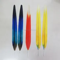 Plumes artificielles de macao/phasan F22" en promotion pour décoration, carnaval, burlesque/aztec – Vente en gros
