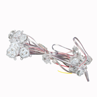 Offre Spéciale, IP68, 12v, éclairage permanent de point extérieur de vacances de noël 30mm led smd5050 rgb led pixel point lights