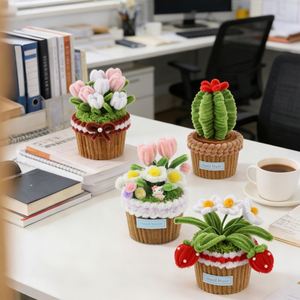Desktop Mini-Garden <b>Craft</b> <b>Kit</b> Grow a Charming Collection of Pipe Cleaner Cacti Tulips More in Their Own Tiny Pots - Product Image 5
