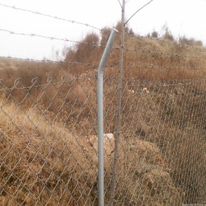 YC 8ft <span class=keywords><strong>9</strong></span> Gauge Galvanisé Diamant Fer Clôture Cyclone Grillage 8 Pied 6 Pied Chainlink Clôture Pvc Enduit Chaîne Maillon Clôture Rouleau - Product Image 2