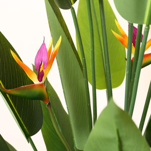 STD-TTN Hete Verkoop Op Maat Gemaakte Vervalste Tropische Palmboom Real Touch Kunstmatige Paradijsvogel Plant Voor Thuis Indoor Outdoor Decor - Product Image 4