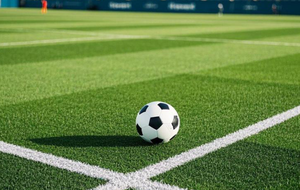 หญ้าเทียมสำหรับกีฬาขายส่ง วัสดุ PE+PP ทนทาน เป็นมิตรกับสิ่งแวดล้อม และกันน้ำ เหมาะสำหรับใช้ในโรงเรียน สนามกีฬา ใช้งานได้ทุกสภาพอากาศ - Product Image 4