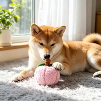 Jouet en peluche pour animaux de compagnie en forme de pêche, personnalisé, de haute qualité, doux, à mâcher, interactif, pour l'anxiété des chiots