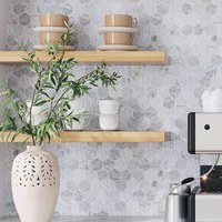 Carreaux de miroir en marbre blanc de Carrare texturé vieilli, forme hexagonale alvéolée, bord biseauté, style parquet européen, pour mur intérieur