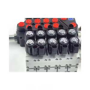 วาล์วควบคุมทิศทางไฮดรอลิกแบบแมนนวล DCV40Z |   วาล์วมัลติสปูลแบบโมโนบล็อก |   ผู้ผลิต OEM ที่เชื่อถือได้ จัดหาโดยตรงและจำหน่ายจำนวนมาก - Product Image 6