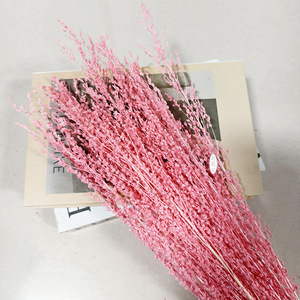 100 Grammi di Fiori Secchi Sbiancati, Erbe e Fiori Conservati, Adatti per Decorazioni Aromaterapiche con Candele Ennio Morlotti - Product Image 4