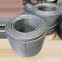 Unverzinktes Nantog 6x37 Edelstahl drahtseil 3 Tonnen 10 Tom 20mm 22mm 25mm Ss Drahtseil 1,5mm 7x19 Ss316 Kabel für Aufzug