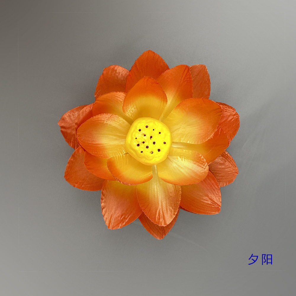 Fleur de lotus 18 cm - Lumière du coucher du soleil
