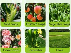 Fertilizante Compuesto Granular Soluble de Alta Calidad, 90% Orgánico, NPK 18-18-18, Liberación Rápida, Eficaz para Uso Agrícola - Product Image 2