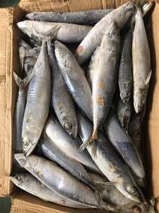 صنع أسماك الماكريل المأكولات البحرية بالجملة - Product Image 2