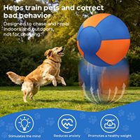 Ballon gonflable de chasse direct usine avec pompe, grand, durable, pour l'extérieur, pour l'exercice et les fournitures d'élevage