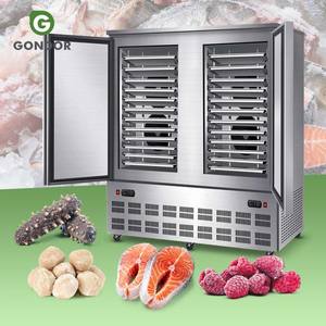 Congelador Criogénico Comercial Pequeño de Congelación Rápida por Choque para Bloques de Hielo y Pollo - Product Image 1