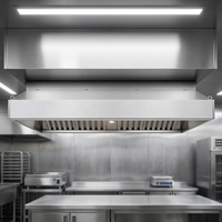 Campana Extractora Comercial para Cocina de Restaurante, de Acero Inoxidable, con Filtro de Grasa y Luz LED