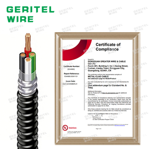 Cables Eléctricos UL1569 <span class=keywords><strong>de</strong></span> Cobre Puro XLPE XHHW/XHHW-2 para Entierro Directo, 600V, <span class=keywords><strong>Cable</strong></span> MC para Proyectos <span class=keywords><strong>de</strong></span> Construcción - Product Image 2