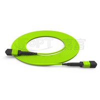 Câble de brassage fibre optique MTP MPO 8, 12, 24 fibres OM3 OM4 Multimode Monomode à faible perte, transmission rapide, pour FTTx FTTH, garantie 1 an