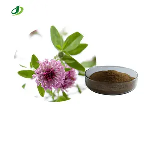 จัดหาผงสกัดโคลเวอร์แดง 8% 20% 40% 60% สารสกัด Isoflavones Trifolium Pratent L