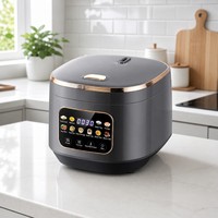 Cuisinière à riz électrique 3L, en acier inoxydable, antiadhésive, intelligente, multifonctionnelle, pour la maison