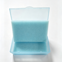 Boîte de rangement dentaire en plastique de 4 pouces avec logo personnalisé, pour prothèses, modèles dentaires et implants, avec mousse de protection pour laboratoire dentaire