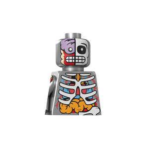 D8005 Giải Phẫu Xương In Ấn Xây Dựng Khối Người Lắp Ráp Mô Hình Đồ Chơi Nhựa Quy Mô 1:8 - Product Image 5