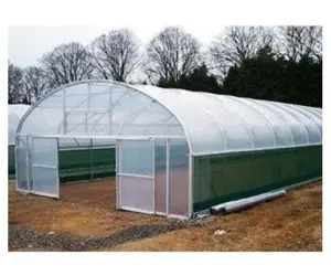 镀锌l框架农业温室单跨PE塑料薄膜温室低成本聚隧道温室供应商